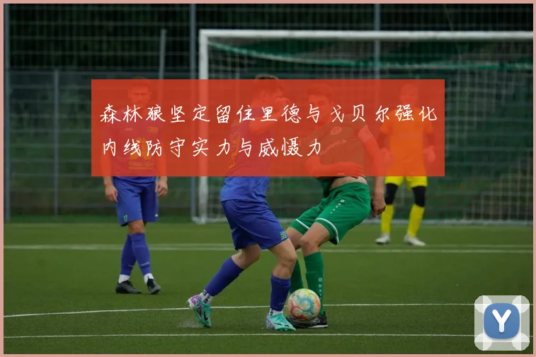 森林狼坚定留住里德与戈贝尔强化内线防守实力与威慑力
