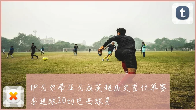 伊戈尔蒂亚戈成英超历史首位单赛季进球20的巴西球员